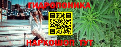 эйфоретик Абинск