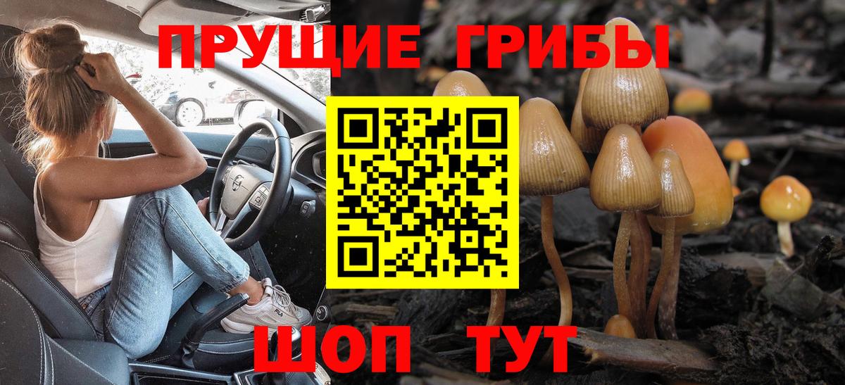 Абакан  Псилоцибиновые грибы MAGIC MUSHROOMS  Вход с VPN 