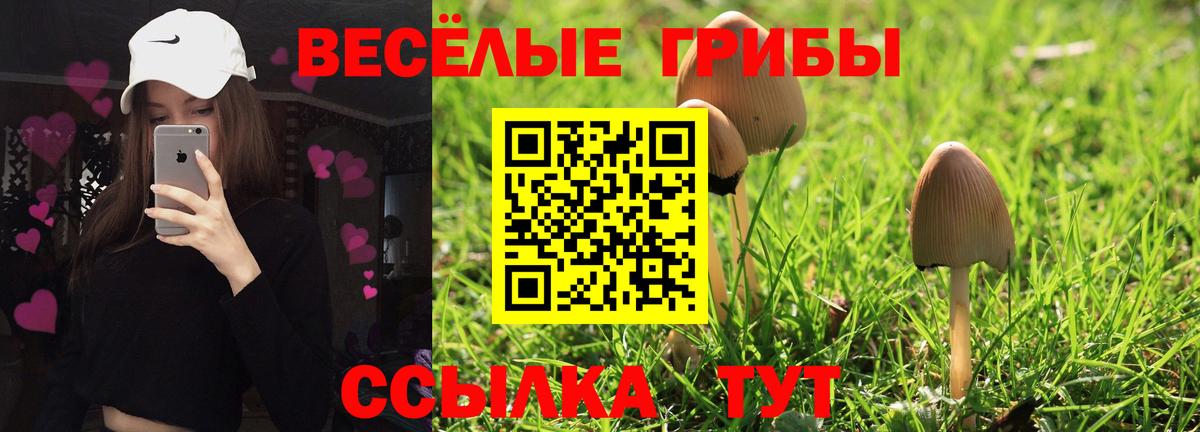 Галлюциногенные грибы Cubensis Абакан